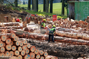 New Zealand's emission targets could be lower if it is not allowed into international carbon markets. Photo / APN