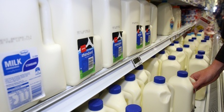 The higher payout prediction reflects a recovery in dairy prices since May. Photo / Lynda Feringa