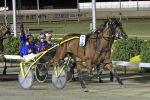 John McCarthy's delight at winning behind Terrorway at Cranbourne on Saturday night amuses rival drivers. Photo / Supplied
