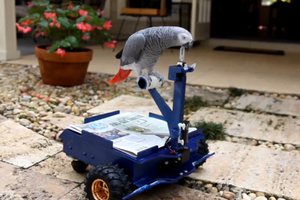 The Bird Buggy in action. Image / Supplied