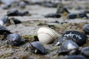 Photo / Thinkstock