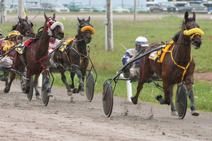 Kidz Kartz is a great way to introduce children to harness racing. Photo / Thinkstock
