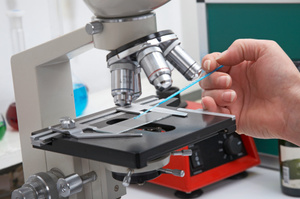 File photo / Thinkstock