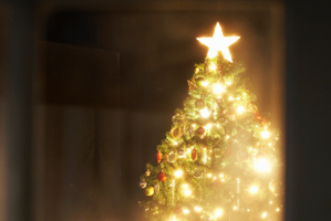 Photo / Thinkstock