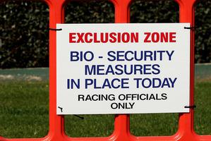 A barricade stopped the public getting to close to the horses when racing resumed after the outbreak of the equine influenza. Photo / Getty Images