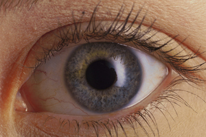 File photo / Thinkstock