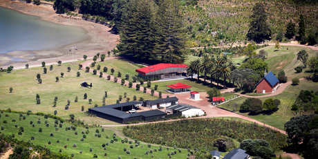 Auckland Zoo and Rotoroa Island Trust are establishing a wildlife conservation sanctuary on the island in Auckland's Hauraki Gulf Marine Park. Photo / Natalie Slade