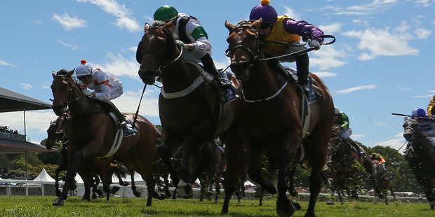Only a miracle saved jockeys from being injured or killed when the first Riccarton race arrived at the 1000m to encounter marker cones across the width of the track. Photo / Getty Images