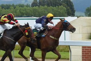 Chapel Star beats Leeboy at Wingatui yesterday. Photo / Otago Daily Times