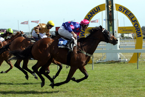 Cassini (right) is a danger in the $70,000 Manawatu Cup today. Photo / APN