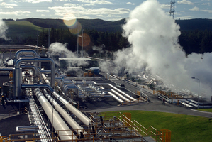 The issue demanding most attention in 2012 from the editorial column was the Government's efforts to sell shares in its big energy enterprises. Photo / Andrew Warner