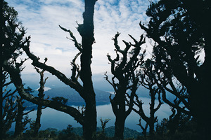 Tuhoe were not opposed to the creation of Te Urewera National Park, but wanted to remain on the last lands in the heart of the park. Photo / APN