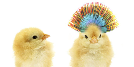 Photo / Thinkstock
