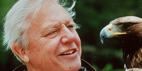 David Attenborough is besotted with Bjork. Photo/AP