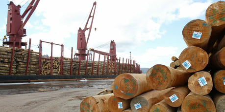 Exporters' confidence rose this month but is still far lower than usual because of a persistently strong New Zealand dollar. Photo / Northern Advocate