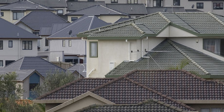 Photo / NZ Herald