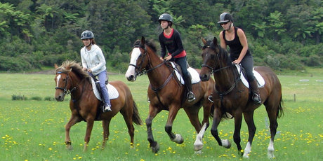 Tui Glen Farm uses sites like GrabOne to attract customers during the low season. Photo / Supplied