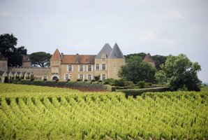 Chateau d'Yquem vineyards.Photo / AFP