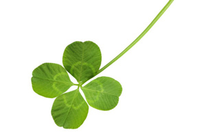 In politics, luck - and timing - are everything. Photo / Thinkstock