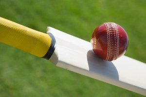 Auckland want to get some momentum into their campaign. Photo / Thinkstock