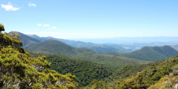 Kahurangi National Park. Photo / Thinkstock