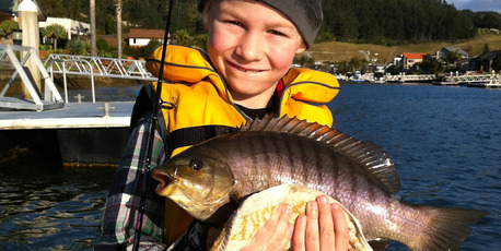 Harry Evans, 8, and a parore caught then released off Pauanui wharf. Photo / Supplied