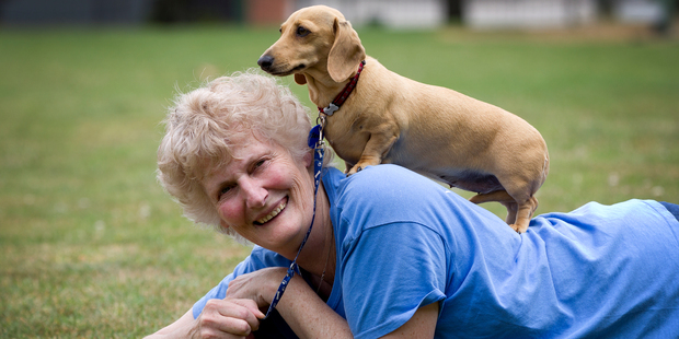 Auckland SPCA volunteer Liz Holdcroft gets down to earth with her miniature dachshund Gem. Photo / Sarah Ivey