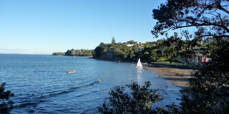 The walkway stretches along the coast and cliff from Narrow Neck Beach in the south to Long Bay in the north, with stunning views across the Hauraki Gulf. Photo / Joe Bailey