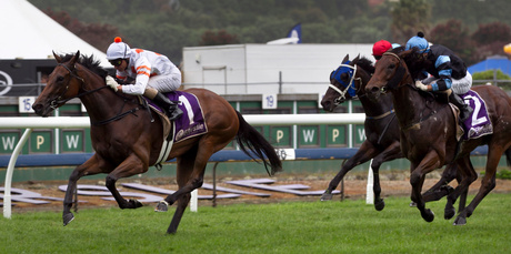 Vinny Colgan drives Fix to the line to win the Cambridge Stud Classic at Ellerslie yesterday. Photo / Natalie Slade