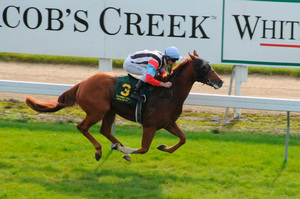 Recording should be ready for a bold effort in the Kurow feature event tomorrow. Photo / Otago Daily Times