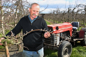 Fruitgrowers Association president Leon Stallard. Photo / Warren Buckland