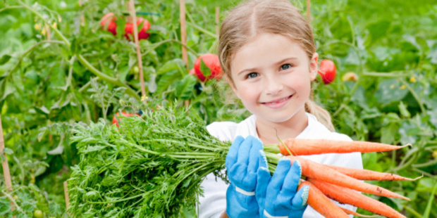 Photo / Thinkstock