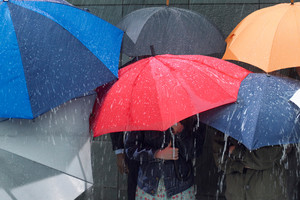 Photo / Thinkstock