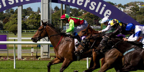 Mosse wins the Concorde in brilliant fashion. Photo / NZ Herald