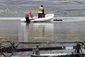 The stench from the dumping of sulphides has caused distress in Wanganui. Photo / Stuart Munro