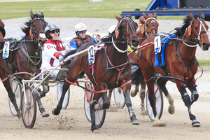 Bit Of A Legend (red and white colours) has great form on both sides of the Tasman and will be hard to beat at Alexandra Park today. Photo / Stuart McCormick