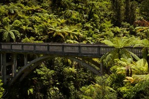 Whanganui National Park. Photo / Greg Bowker