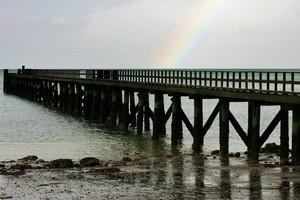 Cornwallis wharf is one of the region's golden opportunities for weekend visits. Photo / Kenny Rodger