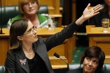 Mojo Mathers follows a line of notable 'firsts' in Parliament. Photo / Mark Mitchell 