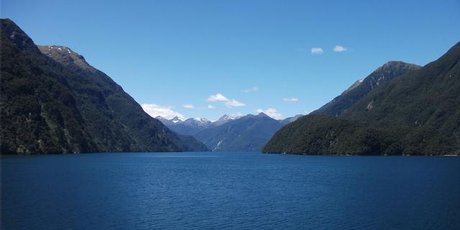 The view from the MS Volendam cruise ship as it tours Fiordland. Photo / Supplied