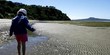 Peace and quiet on Karaka beach. Photo / The Aucklander