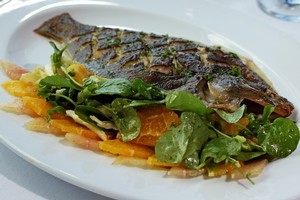 Pan-fried flounder with fennel purée alongside a salad of watercress, celery heart, pink grapefruit and burnt orange vinaigarette. Photo / Sarah Ivey
