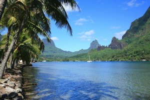 Moorea in Tahiti has the amour of France without the long flight to Paris. Photo / Thinkstock