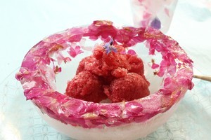 A floral ice bowl is a bit over the top but perfectly pretty for a special occasion. Photo / Janna Dixon