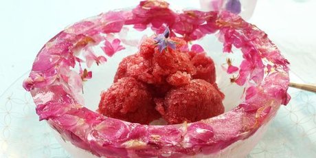 A floral ice bowl is a bit over the top but perfectly pretty for a special occasion. Photo / Janna Dixon