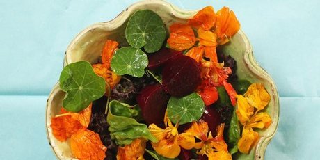 Pick a bunch of young nasturtium leaves and flowers to toss through your summer salad. Photo / Janna Dixon