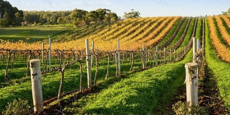 Stephen Bennett is pleased to see New Zealanders are not only appreciating their own wine, but, are becoming more familiar with styles from other countries. Photo / Thinkstock