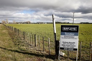 Should the Crafar farms be sold to Chinese buyers? Photo / NZ Herald