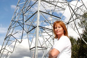Huge pylons went up either side of the block Susie Jones and her husband bought at Te Miro in Waikato. Photo / Christine Cornege