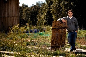 Escargot farmer Cyril Santos photographed at his snail farm just outside the town of Uzes in the south of France. Photo / Babiche Martens